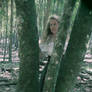 A Girl Amongst The Trees 3