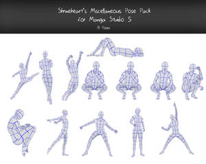 Manga Studio 5: Miscellaneous Pose Pack