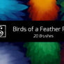 Shrineheart's Birds of a Feather Pack - 20 Brushes