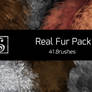 Shrineheart's Real Fur Brush Pack - 41 Brushes