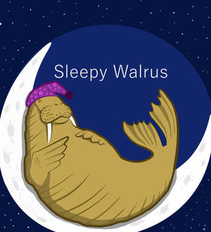 Sleepy Walrus