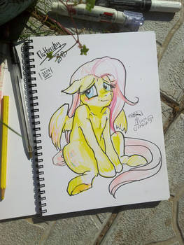 Fluttershy doodle