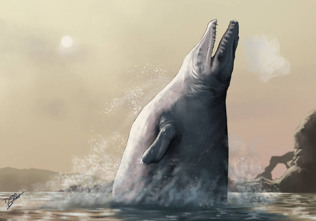 Perucetus Perucetus colossus by DodoSupah on DeviantArt