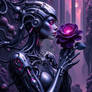 Nova 3
