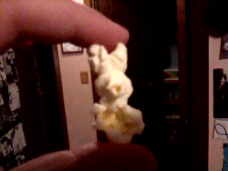 Popcorn Bunny