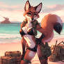 Military fox