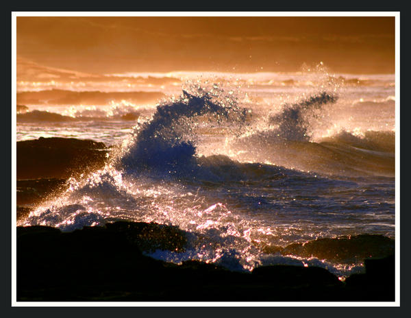 waves in gold