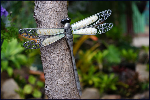 garden dragonfly