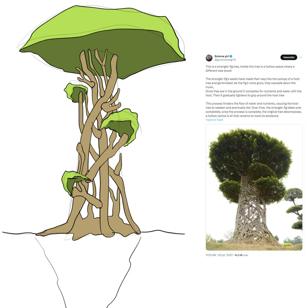 Tree Stranger 2023-08-10---Stranger Fig Tree by GodOfHere on DeviantArt
