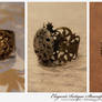 Steampunk Rings : 02