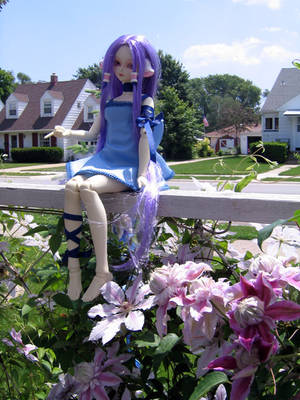 .:Chii Butterfly -Doll- Front: