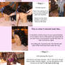 Tutorial: How to put on a wig