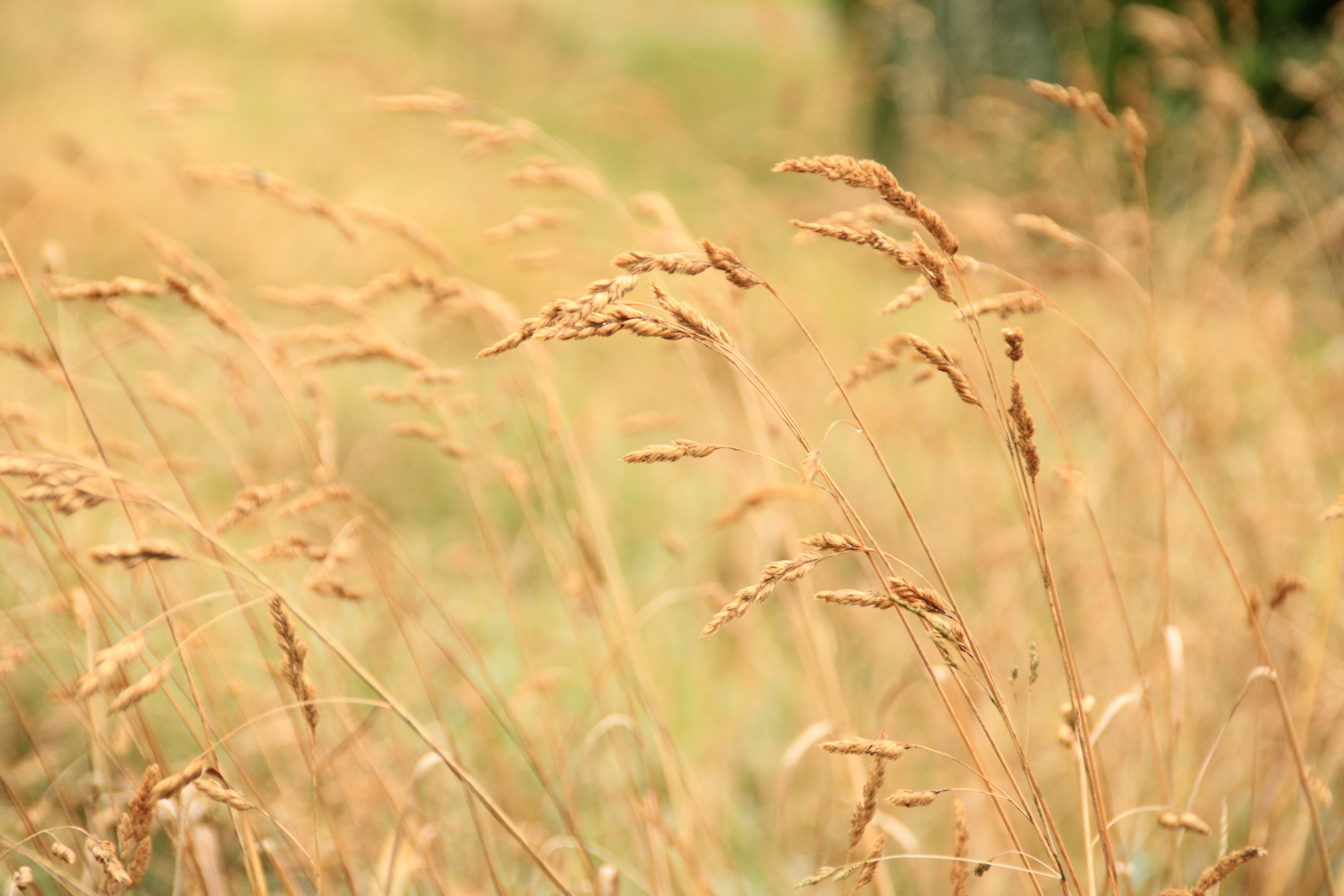 That Late Summer Vibe