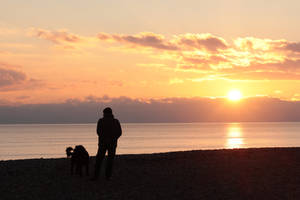 Watching the Day End