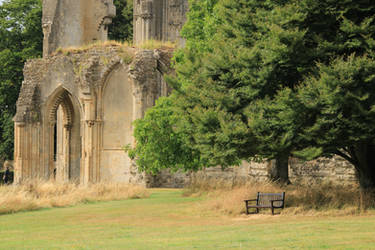 Ruins, A Tree and A View