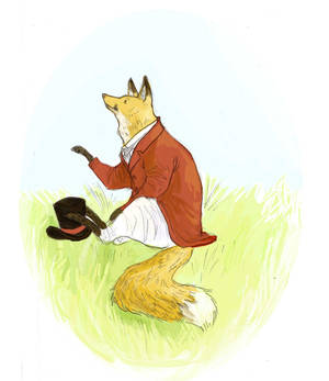 Mr. Fox