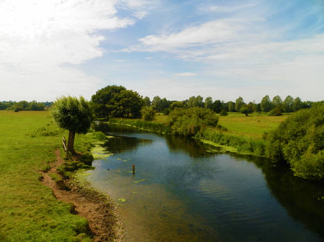 River From The Bridge