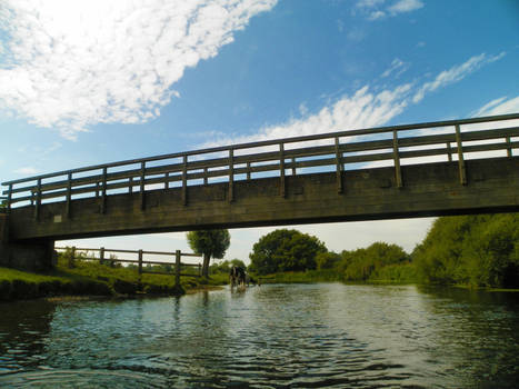 Bridge Over The River