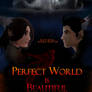 Perfect World - poster