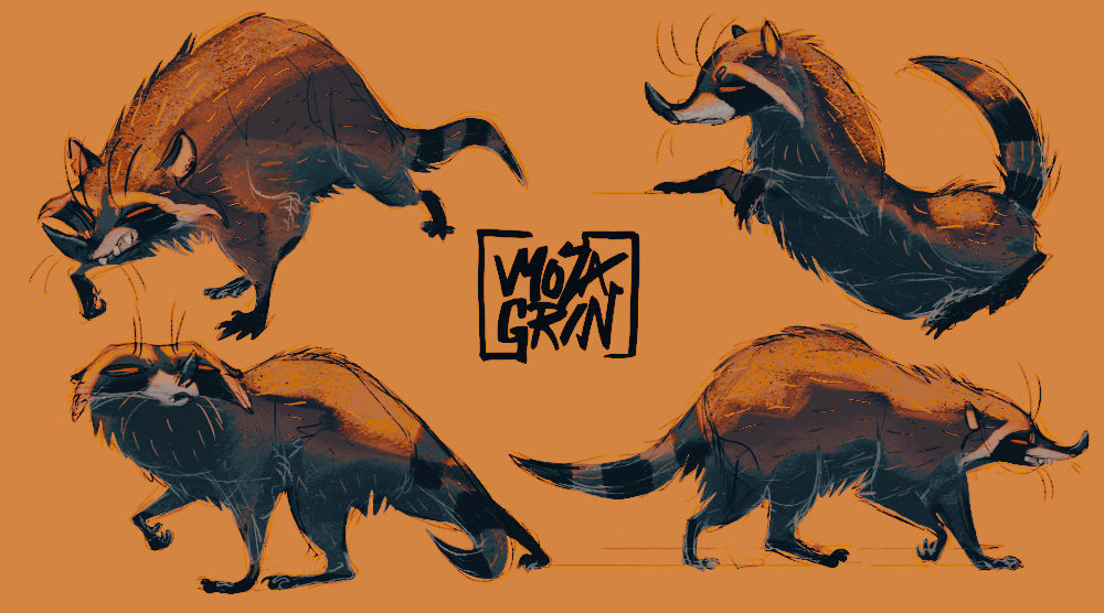 Deviantart Racoon Racoon Doodle Sheet by MozaGrin on DeviantArt