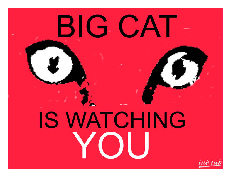 Big Cat is watching YOU by TubTub on DeviantArt