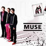 MUSE - Wallpaper