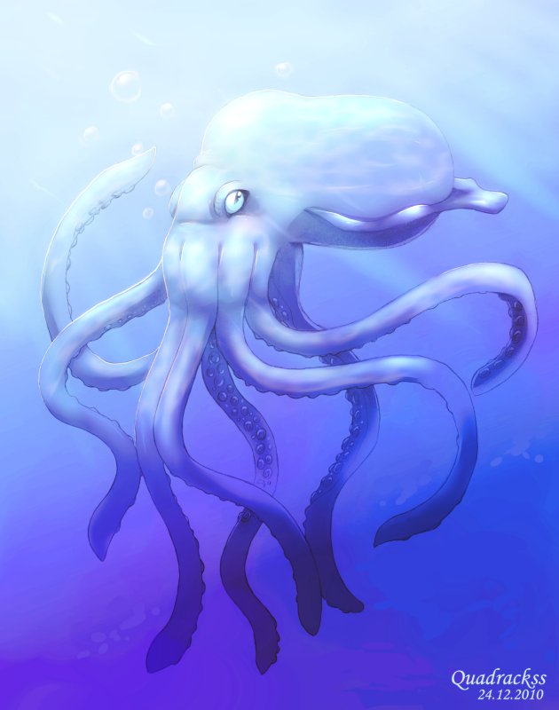 Blue Octopus