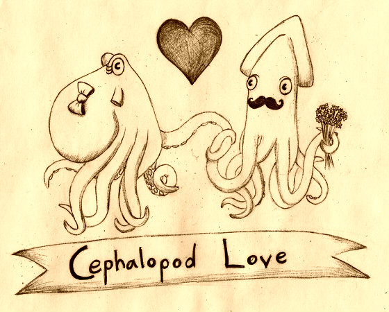 Cephalopod