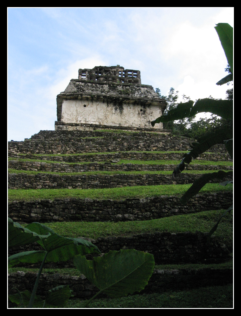 Palenque's plants and temples