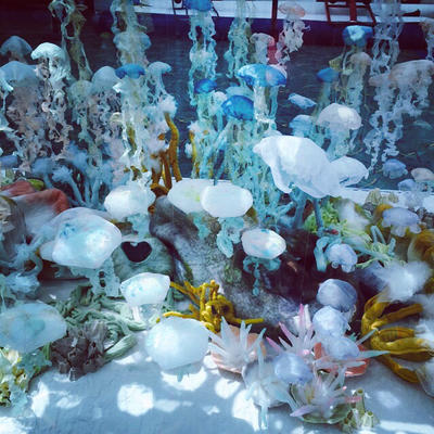 Jellyfishes by buggabear6913 on DeviantArt
