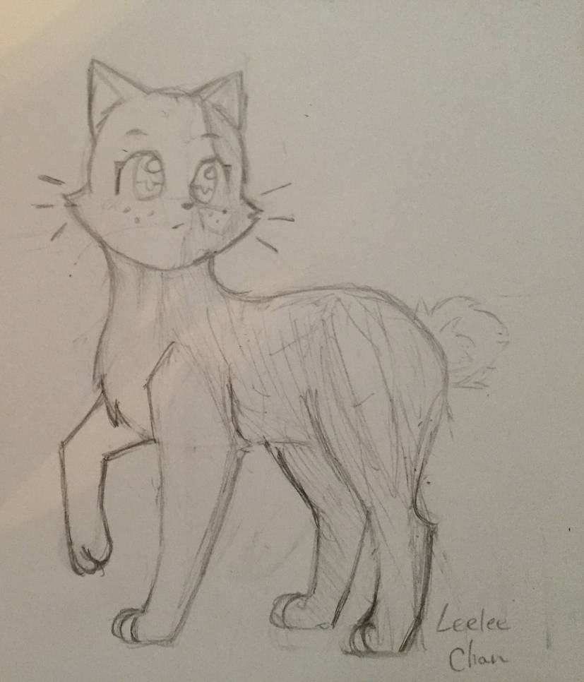 Cat sketch by buggabear6913 on DeviantArt