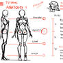 Anatomy tutorial part.1:Basic bone structure