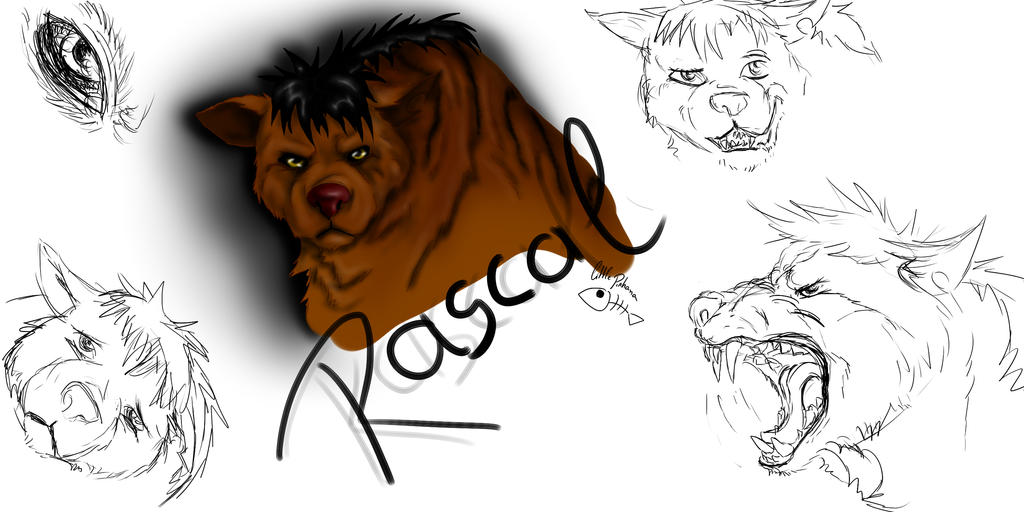 Rascal by LittlePirhana on DeviantArt
