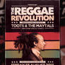 Reggae Poster Template Vol. 5