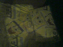 My bed cover!