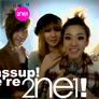 2NE1 TV Season II