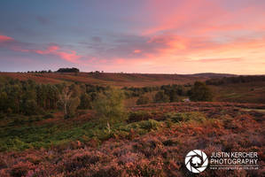 Fiery Dawn over Linwood