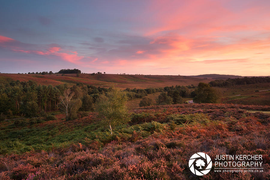 Fiery Dawn over Linwood