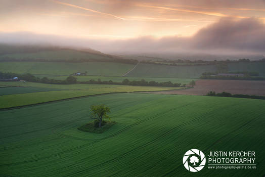 Towards Meon