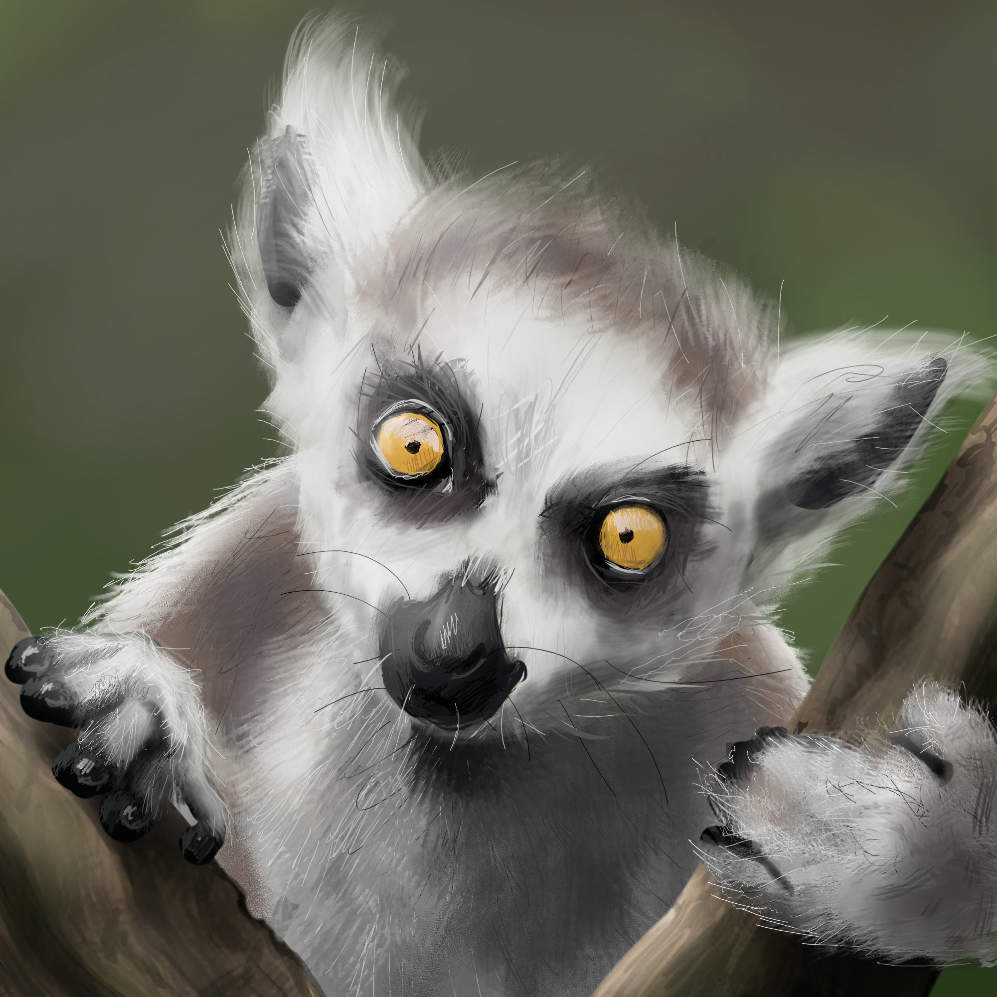 Lemur