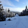 Snowy path.