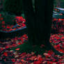 Red Autumn