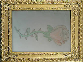 A rose in a frame