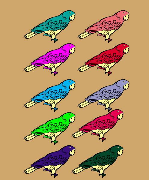 Parrot adoptables