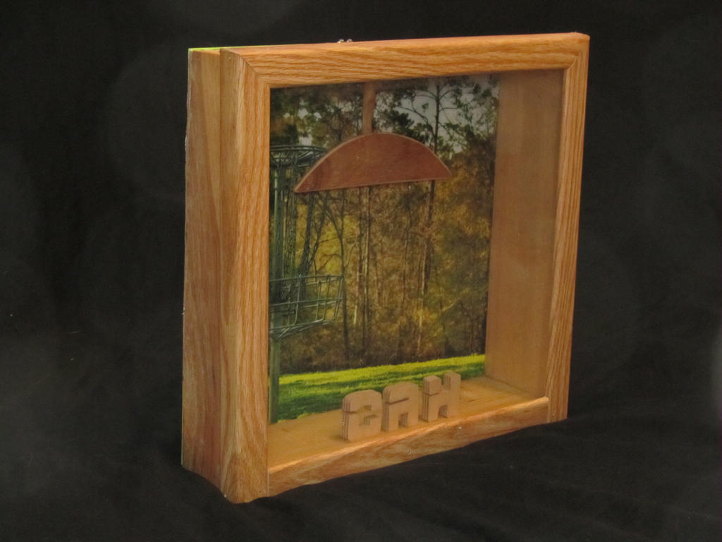 Disc Golf Display Case without disc