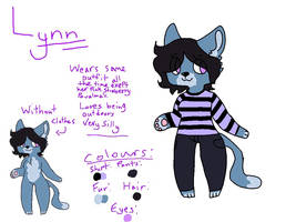 Lynn REFERENCE SHEET 2017