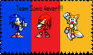 Team Sonic Stamp