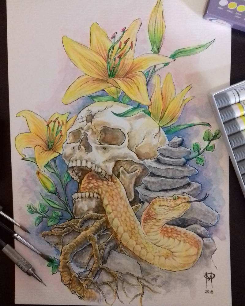 Skull N' Snake