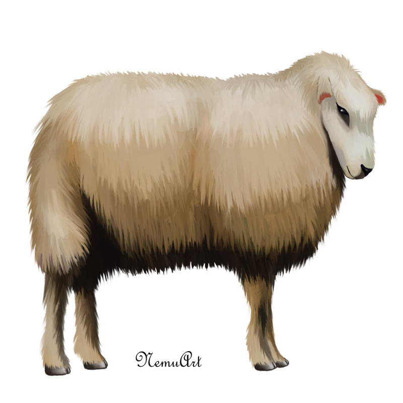 Deviantart 2007 Sheep Sheep by NemuArt on DeviantArt