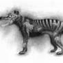 Thylacine Zombie